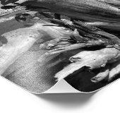 Aussicht auf den Hafen - Plymouth, Massachusetts Fotodruck (Ecke)