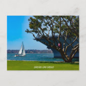Aussicht auf den Hafen - San Diego fahren Postkarte (Vorderseite)