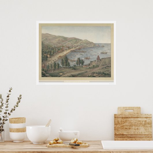 Aussicht auf den Hafen von Avalon, Insel Santa Cat Poster (Küche)