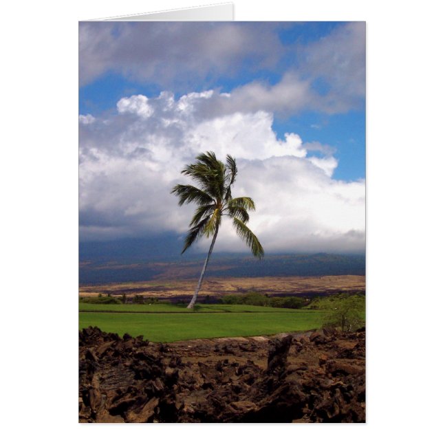 Aussicht auf den Hawaiianischen Golfplatz (Vorne)