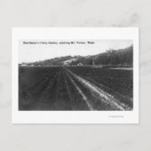 Aussicht auf den Hutchinson Celery Garden Postkarte (Vorderseite)