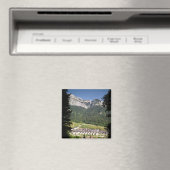 Aussicht auf den Klosterkomplex Magnet (In Situ (Geschirrspüler))