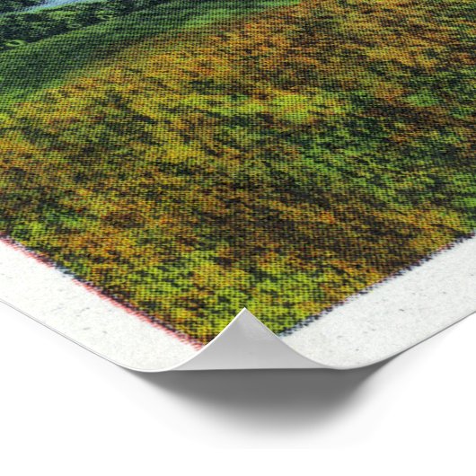 Aussicht auf den Leuchtturm von Nobska, das Waldlo Poster (Ecke)