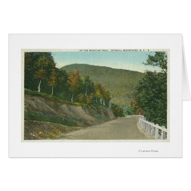 Aussicht auf den Mohican Trail (Vorderseite (Horizontal))