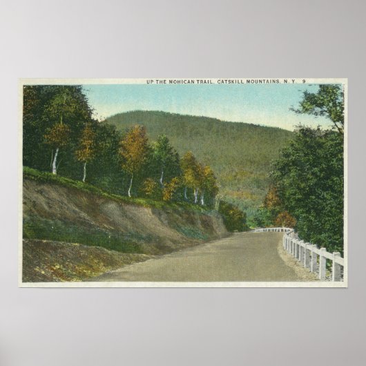 Aussicht auf den Mohican Trail Poster (Vorne)