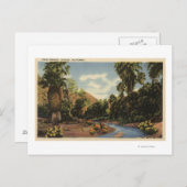 Aussicht auf den Palm Springs Canyon Postkarte (Vorne/Hinten)