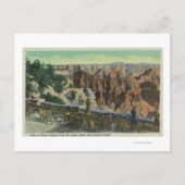 Aussicht auf den Park Postkarte (Vorderseite)