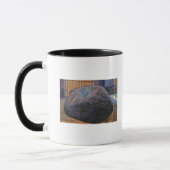 Aussicht auf den Real Plymouth Rock Tasse (Links)