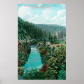 Aussicht auf den Sacramento River Canyon auf SP Poster (Vorne)