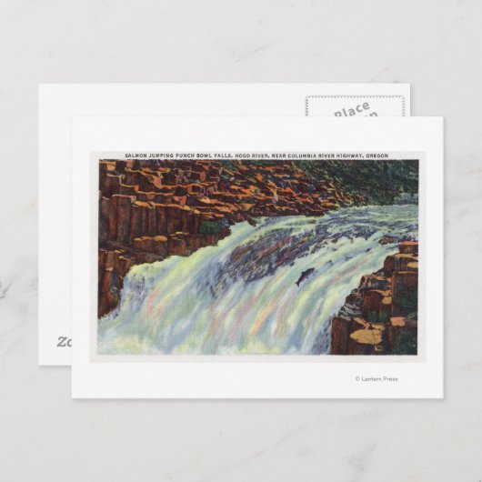 Aussicht auf den Salmon Jumping Punch Bowl Falls Postkarte (Vorne/Hinten)