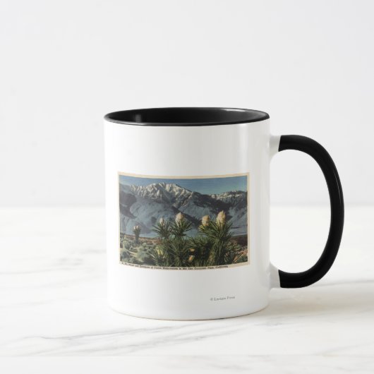 Aussicht auf den San Jacinto, Yucca Mohavensis Tasse (Rechts)