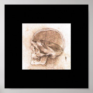 Aussicht auf den Schädel von Leonardo Da Vinci ca. Poster