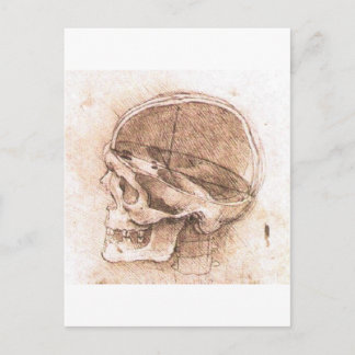 Aussicht auf den Schädel von Leonardo Da Vinci ca. Postkarte