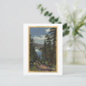 Aussicht auf den See durch die Pinien # 2 Postkarte (Stehend Vorderseite)