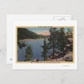 Aussicht auf den See durch die Pinien Postkarte (Vorne/Hinten)