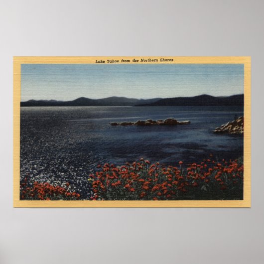 Aussicht auf den See von der Nordküste Poster (Vorne)