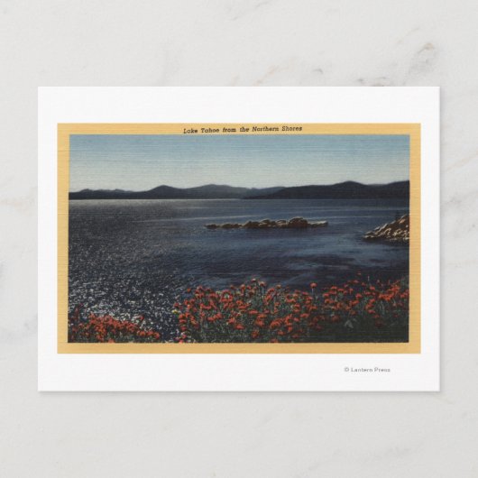 Aussicht auf den See von der Nordküste Postkarte (Vorderseite)