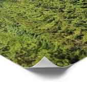 Aussicht auf den See Wallowa, Oregon Poster (Ecke)