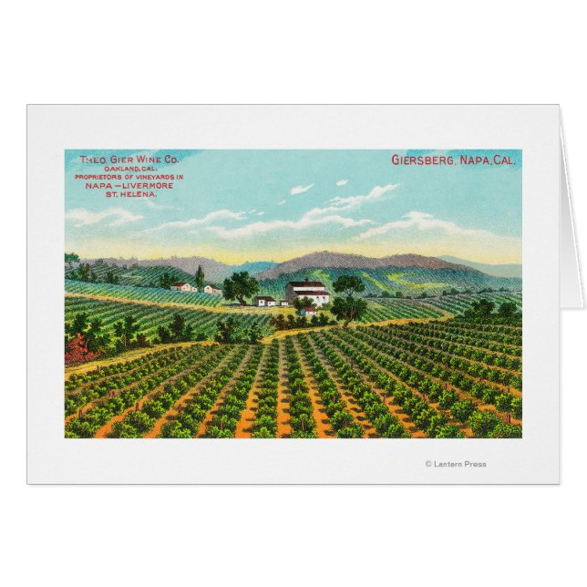 Aussicht auf den Weinberg GiersbergNapa, CA (Vorderseite (Horizontal))