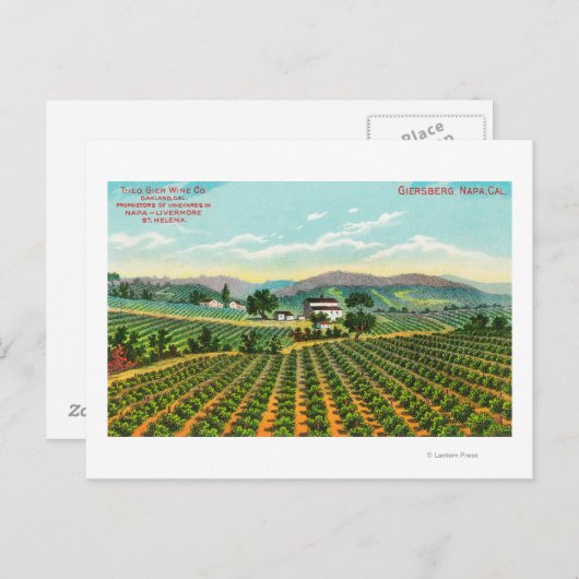 Aussicht auf den Weinberg GiersbergNapa, CA Postkarte (Vorne/Hinten)