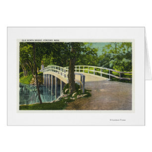 Aussicht auf die alte Nordbrücke