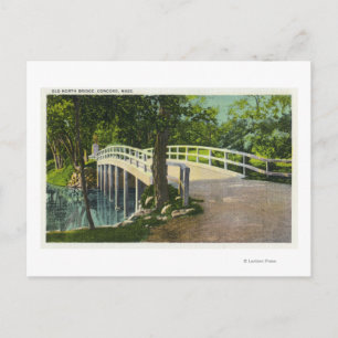 Aussicht auf die alte Nordbrücke Postkarte