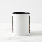 Aussicht auf die Bash-Bish Falls in der Nähe von G Tasse (Zentrum)