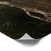 Aussicht auf die Bucht Poster (Ecke)