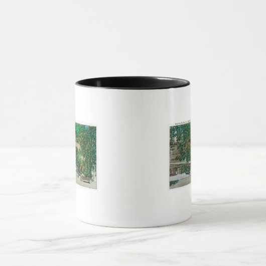 Aussicht auf die Capitola StepsCapitola, CA Tasse (Zentrum)