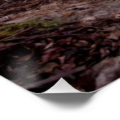 Aussicht auf die Domgipfel Poster (Ecke)