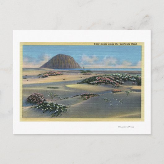 Aussicht auf die Dünen von Sand an der Küste Postkarte (Vorderseite)