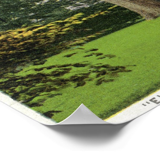 Aussicht auf die Elm Knoll, hier wohnhaft Longfell Poster (Ecke)