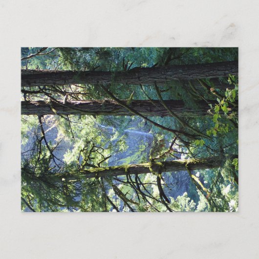 Aussicht auf die Elowah Falls, Oregon Postkarte (Vorderseite)