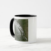 Aussicht auf die Felsengebirge Tasse (Vorderseite Links)