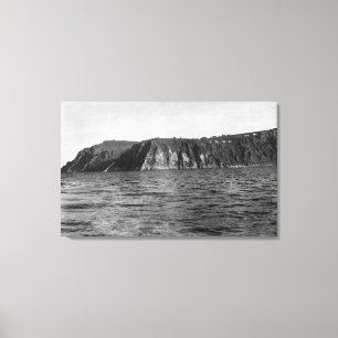 Aussicht auf die Königsinsel, Alaska-Foto Leinwanddruck