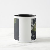 Aussicht auf die meisten südlichen Inseln Neuseela Tasse (Zentrum)