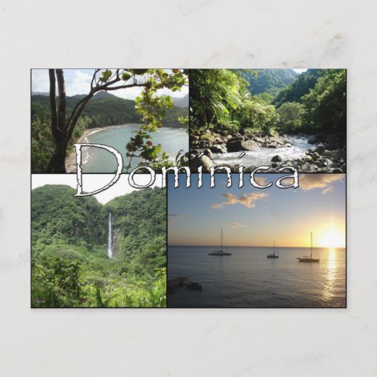 Aussicht auf die Nature Isle Post Card Postkarte (Vorderseite)