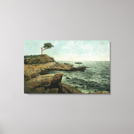 Aussicht auf die Peaks Island und den Pair Tree Leinwanddruck (Vorderseite)