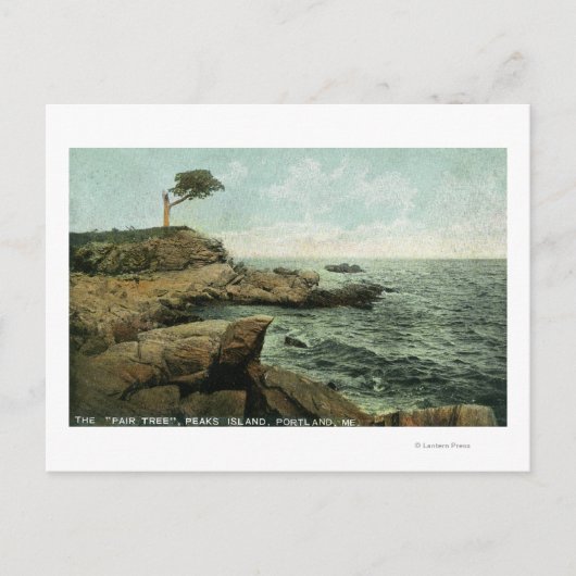 Aussicht auf die Peaks Island und den Pair Tree Postkarte (Vorderseite)