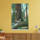 Aussicht auf die Pferdebeförderung im Wawona-Baum Leinwanddruck (Insitu (Wohnzimmer))
