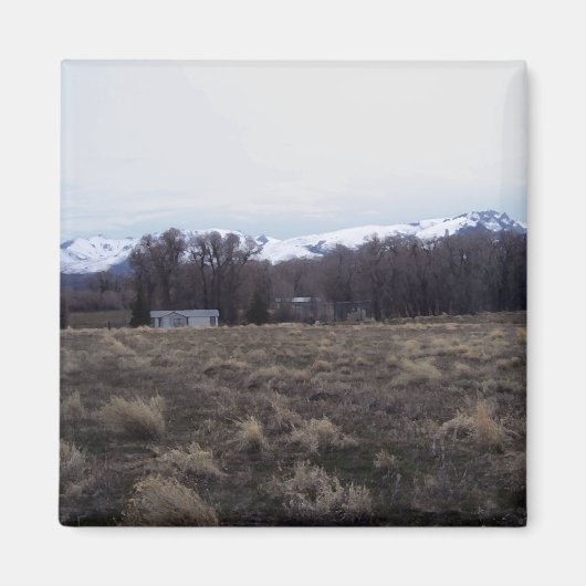 Aussicht auf die Ruby-Berge Magnet (Vorne)