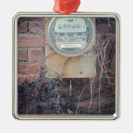 Aussicht auf die Rückseite Silbernes Ornament (Vorne)