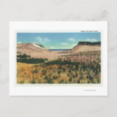 Aussicht auf die Sanddünen von Cape Cod 2 Postkarte (Vorderseite)