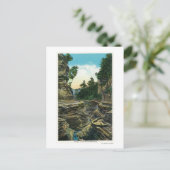 Aussicht auf die Schlucht des Südens Postkarte (Stehend Vorderseite)