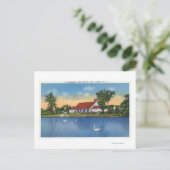 Aussicht auf die Schwäne des Hoopes Parks am See Postkarte (Stehend Vorderseite)