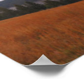 Aussicht auf die Tatra von Pieniny Poster (Ecke)