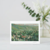 Aussicht auf die Thermalquellen und Gärten von Par Postkarte (Stehend Vorderseite)