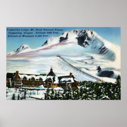 Aussicht auf die Timberline Lodge, Mt Hood im Wint Poster (Vorne)