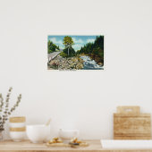 Aussicht auf die Unterwasserfälle des Ammonosuc-Fl Poster (Küche)