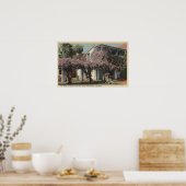 Aussicht auf die Wisteria Pergola, Oasis Hotel Poster (Küche)